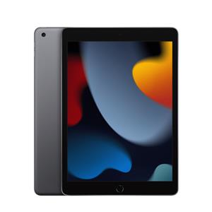 Apple 10.2-inch iPad 9 Cellular 256GB - Space Grey