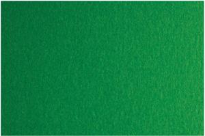Papir u boji B1 200g Bristol Color pk10 Fabriano 41A zeleni